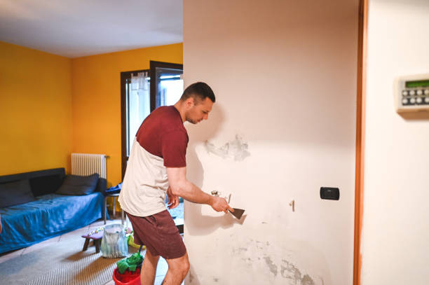 Best Kitchen Mold Remediation in Brocton, NY